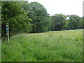 The Pennine Bridleway near Deep Dale Wood