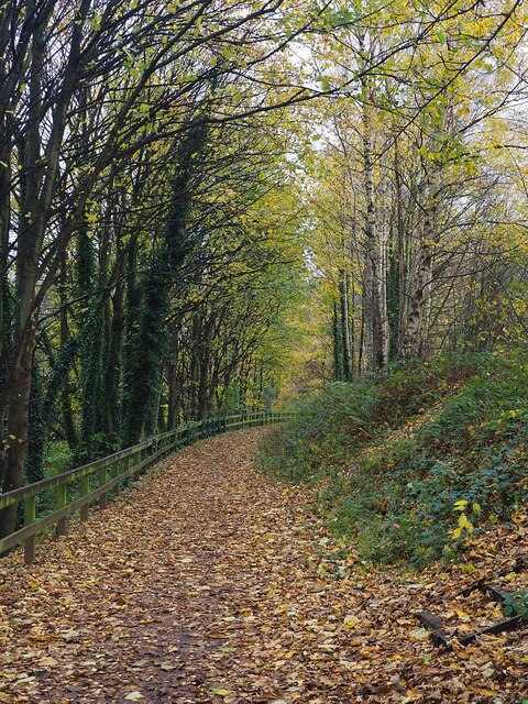 The Five Weirs Walk at Salmon Pastures