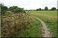 Farmland near Thame