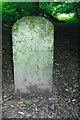 Old Boundary Marker in Beacon Hill Wood