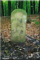 Old Boundary Marker in Beacon Hill Wood