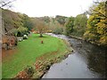 River Derwent at Lintzford Mill