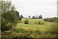 Farmland, Blythwood Farm