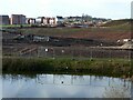 Across the pond, Gedling Country Park