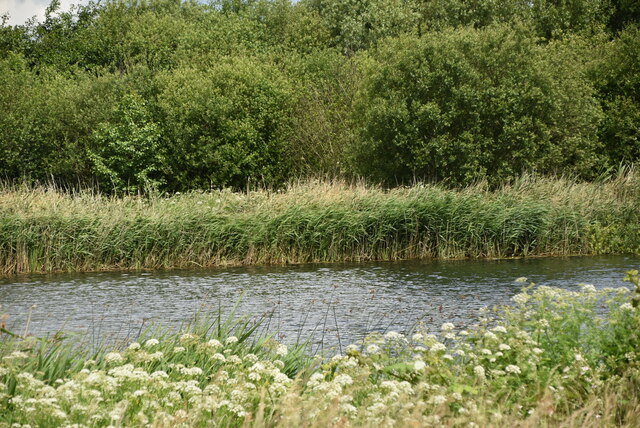 Island in the Jubilee River © N Chadwick cc-by-sa/2.0 :: Geograph ...