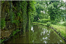 SO8480 : Canal near Cookley in Worcestershire by Roger  D Kidd