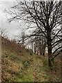 Footpath from Cymmer to Glyncorrwg