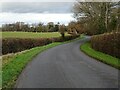 Country road between Kempsey and Norton