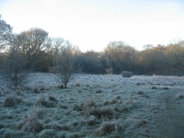 Brook Meadow, Canley Ford