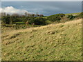 Former Spoil Heap, Rising Sun Colliery