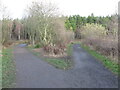 Converging Paths, Rising Sun Country Park