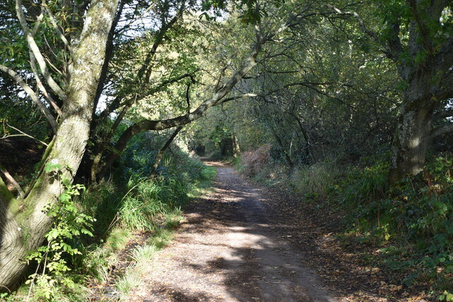 The Cuckoo Trail