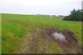 After the silage harvest