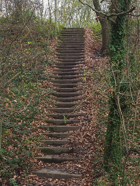A steep flight of stone steps at Westwood Bottom