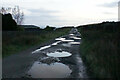 Puddly track at dusk