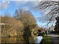 Canal-side towpath