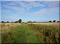 Path leading to the A18, Barton Street