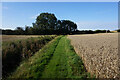 Path leading to Irby-upon-Humber