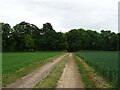 TF3290 : Farm track (footpath) towards Brackenborough Hall by JThomas