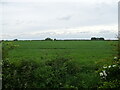 TF2889 : Farmland near North Elkington by JThomas