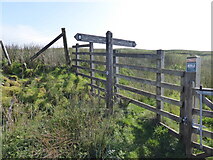 SD7788 : The Pennine Bridleway near Crosshills Wold by Dave Kelly