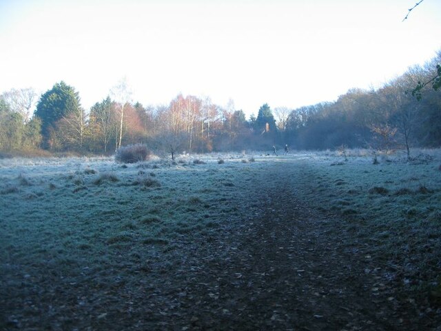 Frosty morning in Brook Meadow
