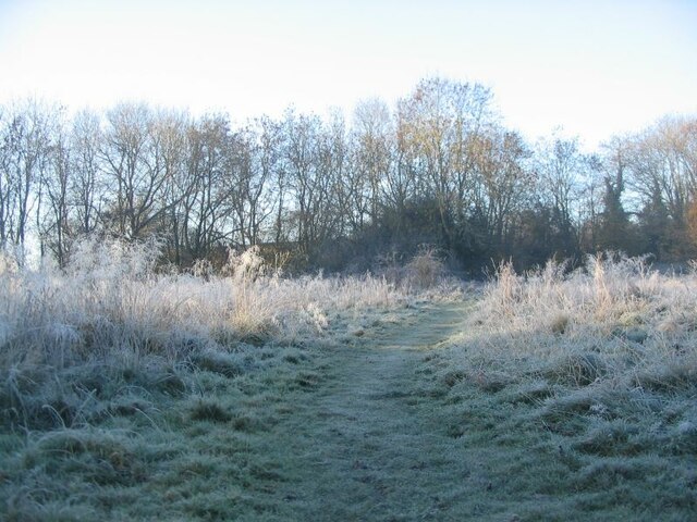 Frosty morning, the Paddock