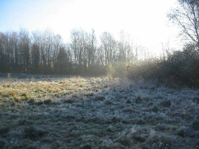 Frost, Canley Ford wild flower meadow