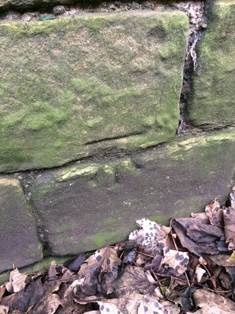 Benchmark on Vicarage Outbuilding, Tofts Road Pudsey