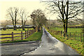 Wet along Dunbiggan Road