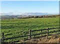 Field on the side of Medomsley Road