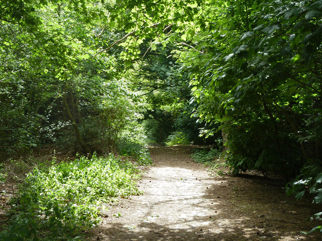 Bridleway 1993 © Robin Webster cc-by-sa/2.0 :: Geograph Britain and Ireland