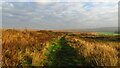 Course of the former Chesterfield Canal, northeast of Staveley