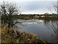 Looking across the Clyde to Carmyle