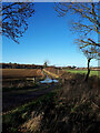 Farm track looking towards Sevington Covert