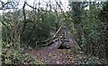 Footbridge with stile at Westwood Bottom