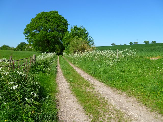 Track and farmland, Hurstbourne Tarrant