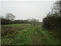 Track to Hayside Cottage