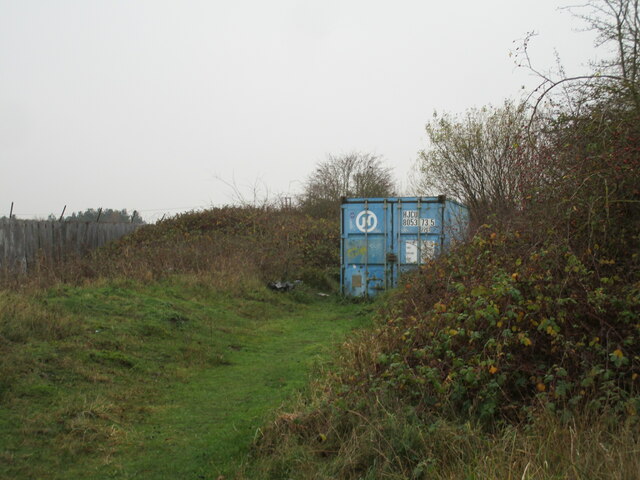 Container among the brambles