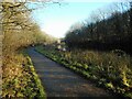 Towpath, Forth and Clyde Canal