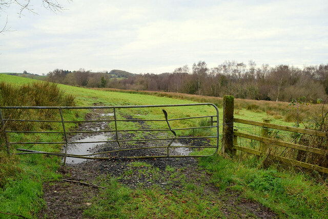 Muddy entrance to field, Botera Lower