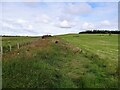 NZ1551 : Field path to Loud Hill by Robert Graham
