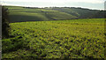 Towards the Barberry Water valley