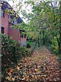 Office block beside path on Pynes Hill, Exeter