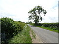 Station Road towards Benniworth