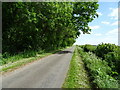 TF1879 : Minor road beside woodland, Panton Park by JThomas