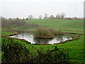 Small lake with island