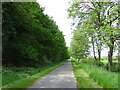 TF1878 : Roman Road beside Brant Hills Wood by JThomas