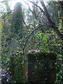 An ivy-covered chimney in the valley