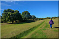 SP1096 : Sutton Coldfield : Sutton Park by Lewis Clarke